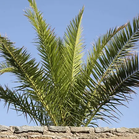 شقة فندقية ياكينثوس ريزدنس 4*