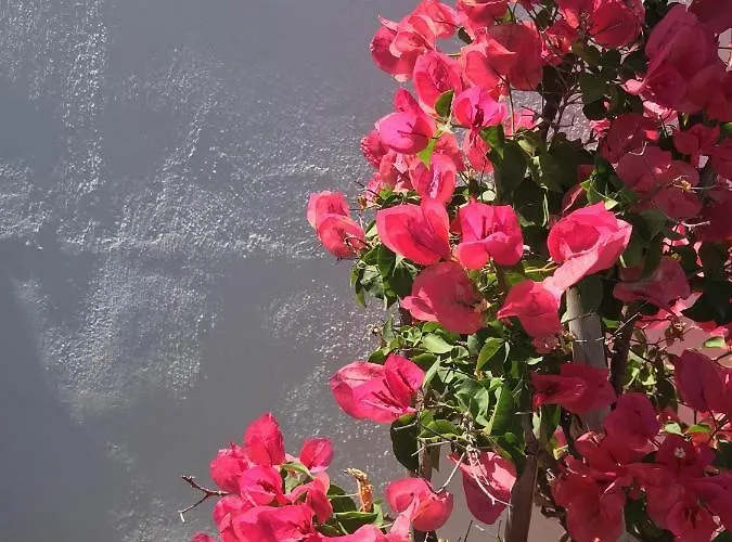 Yakinthos 4* بانورموس ميكونو