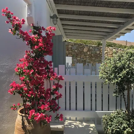 Yakinthos Appart hôtel Mykonos Town