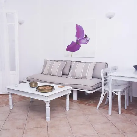 Yakinthos Appart hôtel Mykonos Town